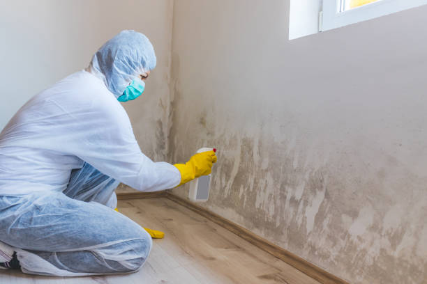 Mold Remediation specialist working in Lowell